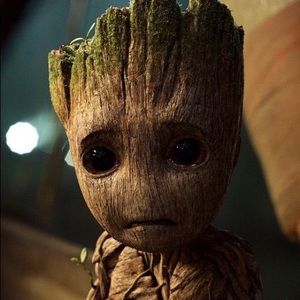 Meet your Posher, Kym